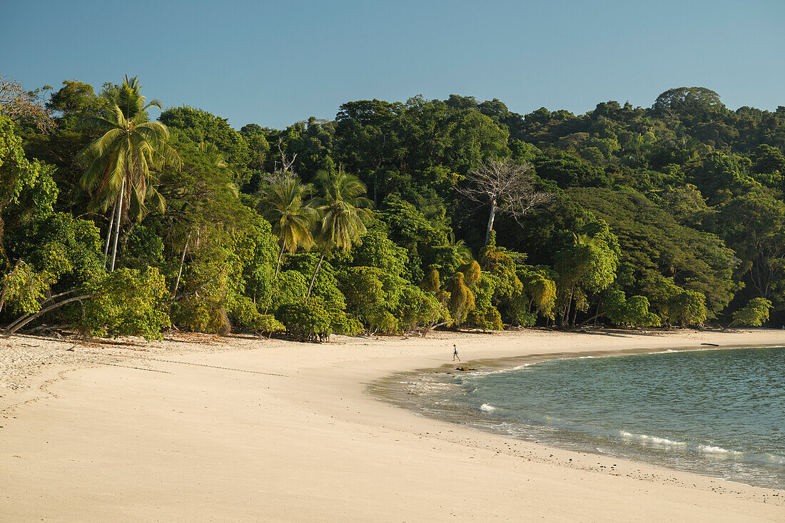 Manuel-Antonio-Nationalpark, Provinz Puntarenas, Costa Rica, Mittelamerika