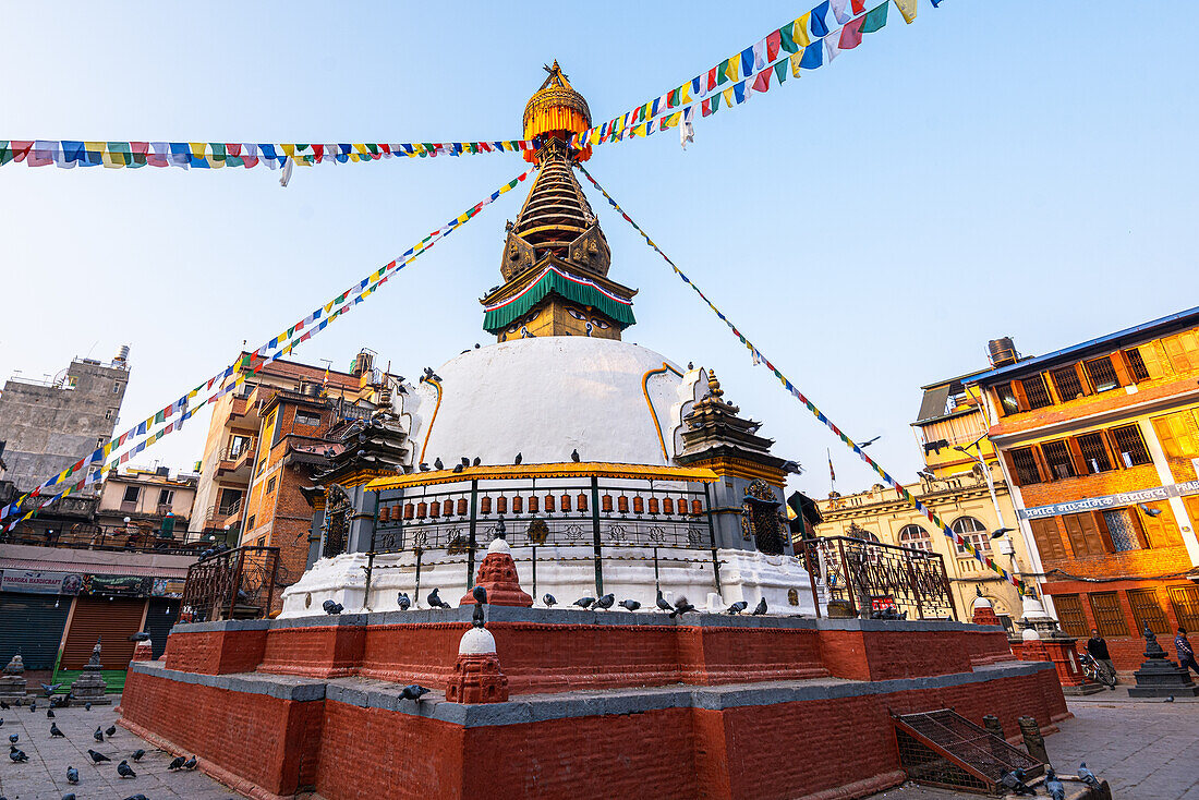 Früher Morgen an der Shree Gha Stupa, Bezirk Thamel, Kathmandu, Nepal, Asien