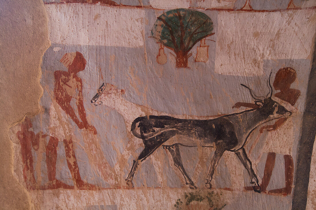 Wall Paintings, Tomb of Roy, TT255, End of Eighteenth Dynasty, Tombs of the Nobles, Ancient Thebes, UNESCO World Heritage Site, Luxor, Eygpt, North Africa, Africa