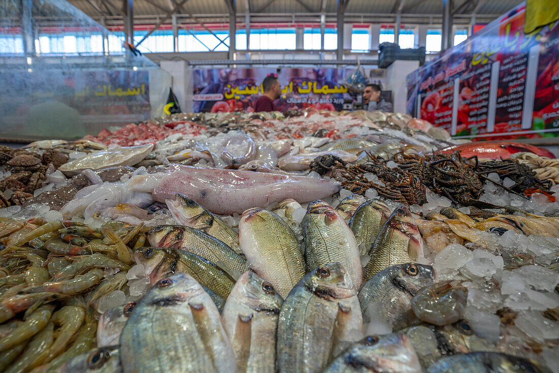 Blick auf einen Fischstand auf dem Fischmarkt von Hurghada, Hurghada, Gouvernement Rotes Meer, Ägypten, Nordafrika, Afrika