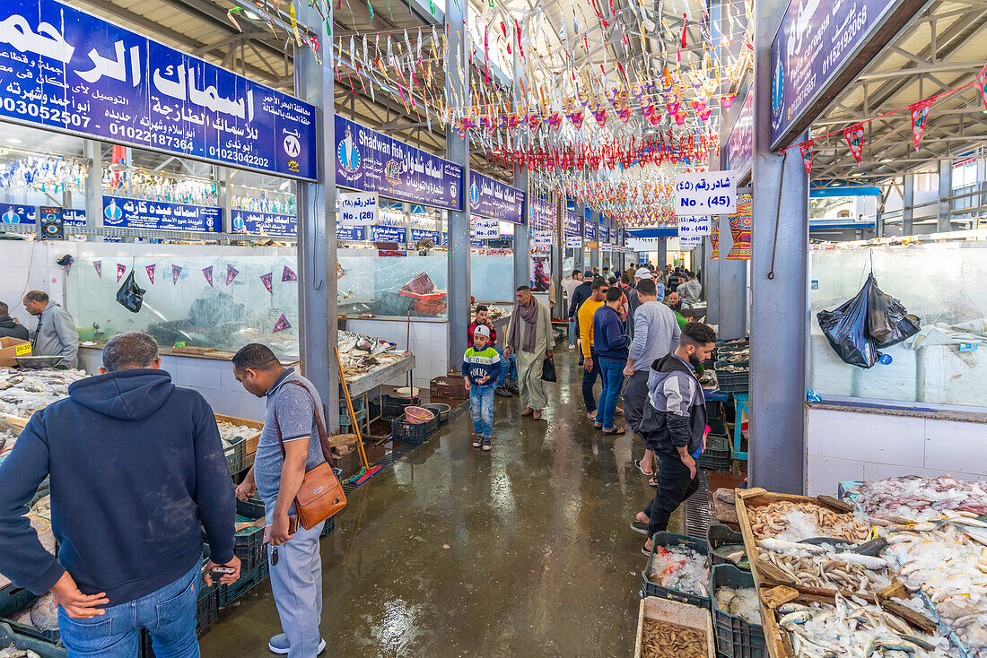 Blick auf Fischstände auf dem Fischmarkt von Hurghada, Hurghada, Verwaltungsbezirk Rotes Meer, Ägypten, Nordafrika, Afrika