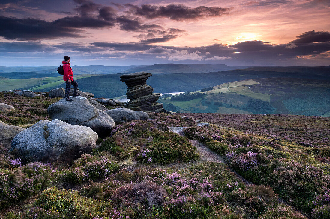 Spaziergänger mit Blick auf die markante Felsformation Salt Cellar in einem Heidemoor im Sommer, Derwent Edge, Peak District National Park, Derbyshire, England, Vereinigtes Königreich, Europa