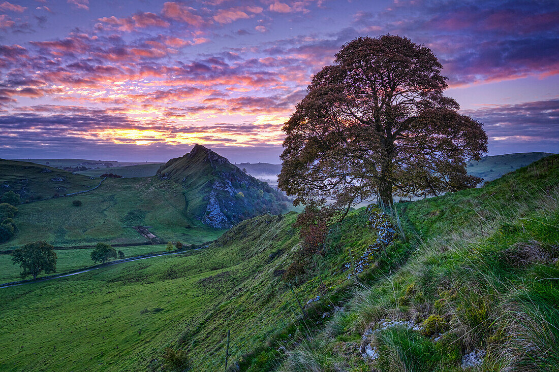 Parkhouse Hill from Chrome Hill at dawn, near Longnor, Peak District National Park, Derbyshire, England, United Kingdom, Europe