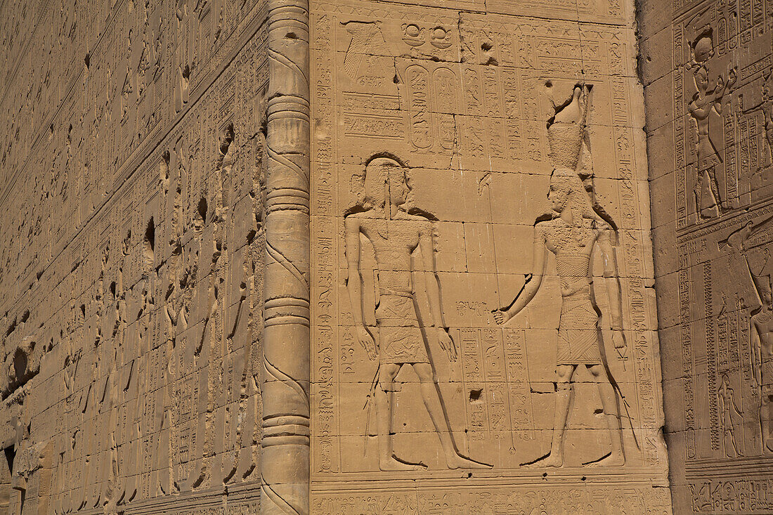 Exterior Reliefs, Temple of Hathor, Dendera, Qena, Egypt, North Africa, Africa