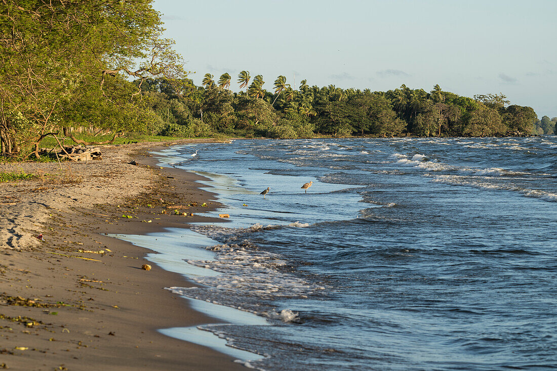 San Fernando Beach, Ometepe Island, Rivas State, Nicaragua, Central America