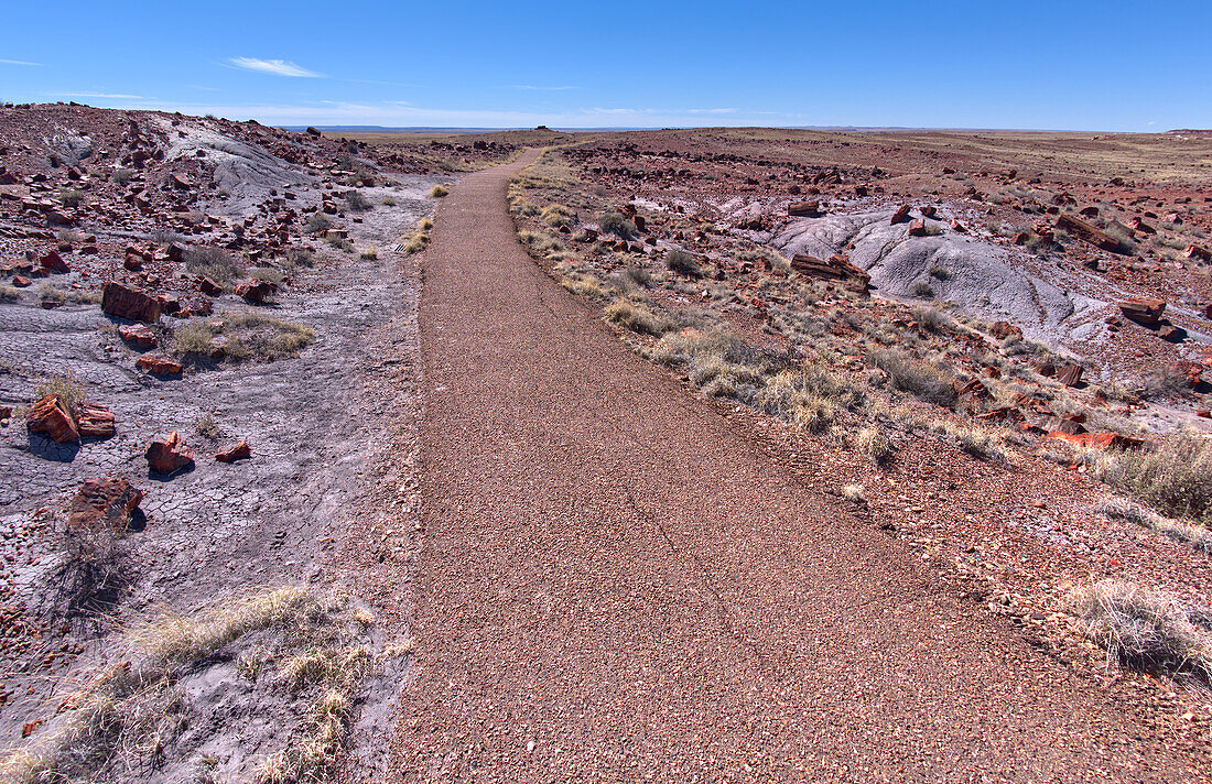 Der gepflasterte Weg, der zum historischen Achat-Haus im Petrified Forest National Park, Arizona, Vereinigte Staaten von Amerika, Nordamerika, führt