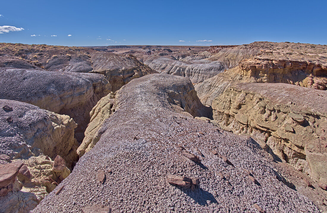 Hills of purple and gray bentonite near Hamilili Point on the south end of Petrified Forest National Park, Arizona, United States of America, North America