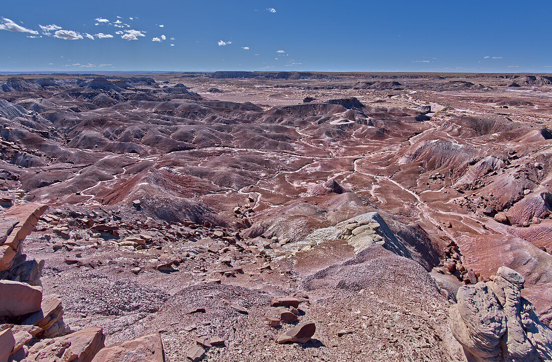 Purple badlands of bentonite near Hamilili Point on the south end of Petrified Forest National Park, Arizona, United States of America, North America