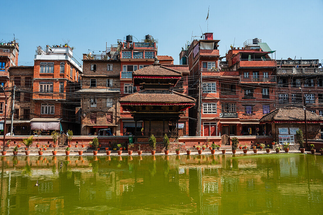 Plant pots and brick buildings surrounding the lake, vibrant green Bholachhe Pond in the core of Bhaktapur, Kathmandu Valley, Nepal, Asia