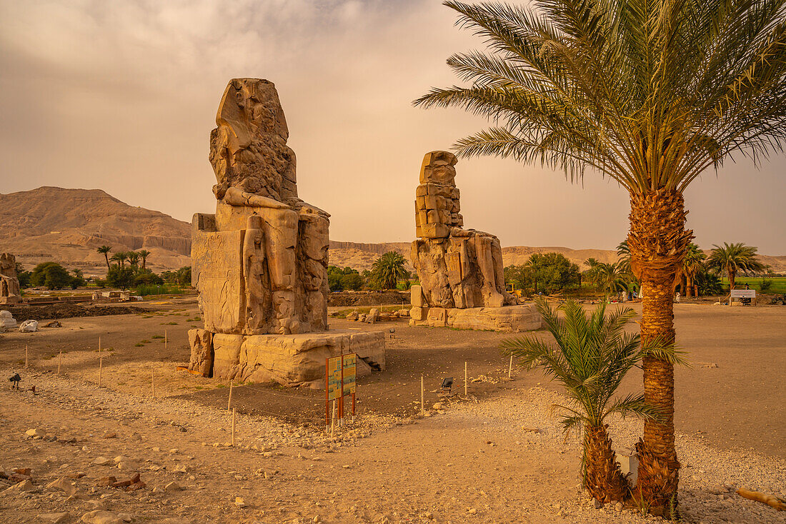 Blick auf die Memnon-Kolosse, sitzende Statuen in der Nähe des Tals der Könige, UNESCO-Welterbe, Theben, Ägypten, Nordafrika, Afrika