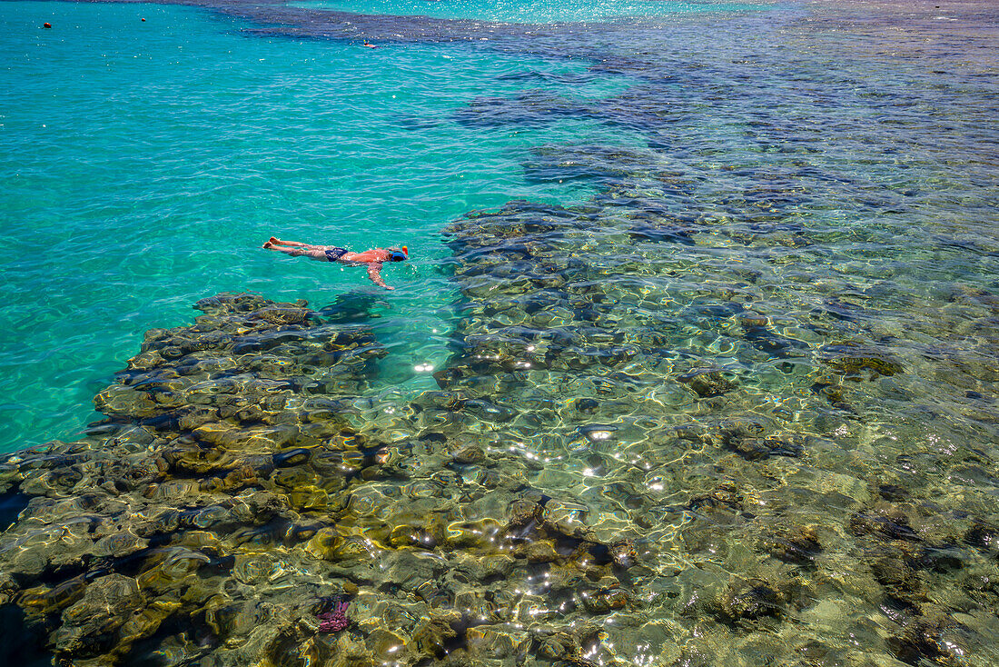 Blick auf einen Mann beim Schnorcheln im Roten Meer bei Sahl Hasheesh, Sahl Hasheesh, Hurghada, Red Sea Governorate, Ägypten, Nordafrika, Afrika