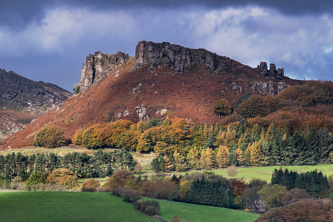 Hen Cloud in autumn, part of The Roaches rock escarpment, near Leek, Peak District National Park, Staffordshire Moorlands, Staffordshire, England, United Kingdom, Europe