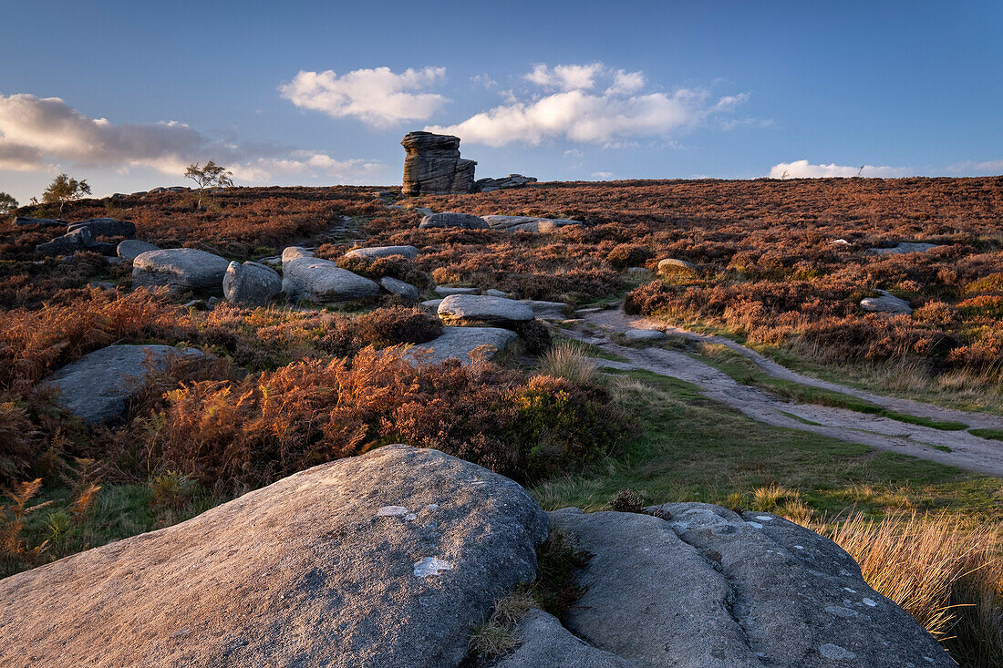 Mother Cap Tor im Herbst, Hathersage Moor, Peak District National Park, Derbyshire, England, Vereinigtes Königreich, Europa