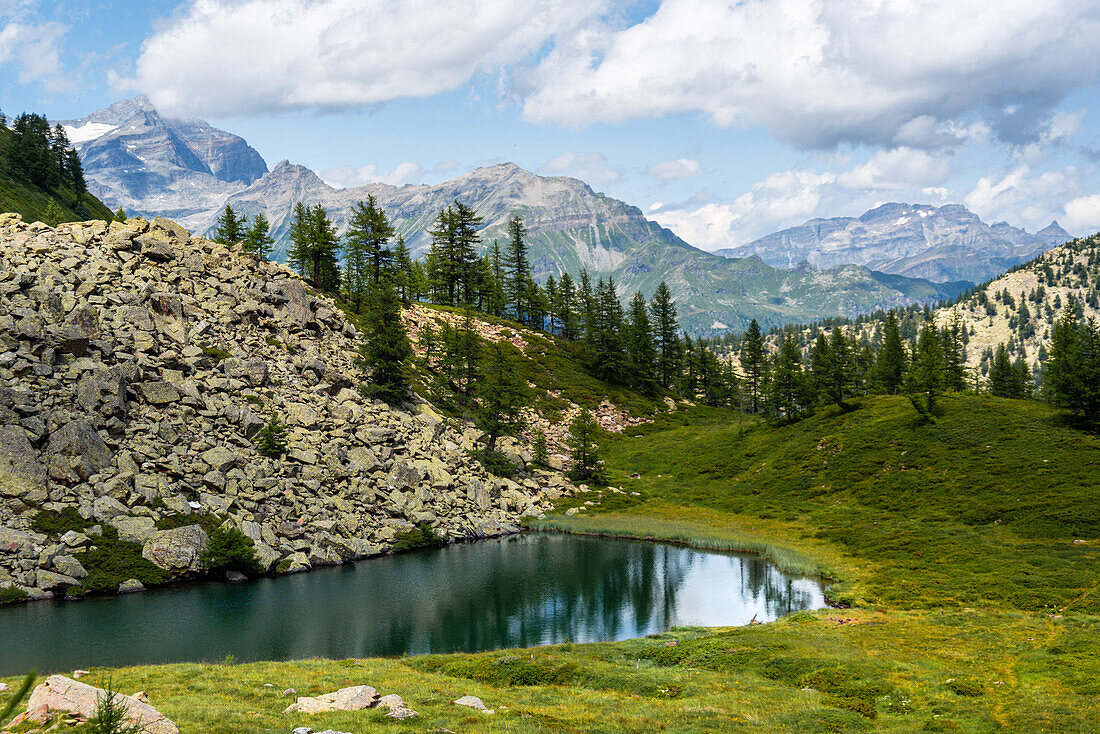 Wairasee (Lake Waira) mit Wiesen und Gipfeln der Schweizer Alpen, Wallis, Schweiz, Europa