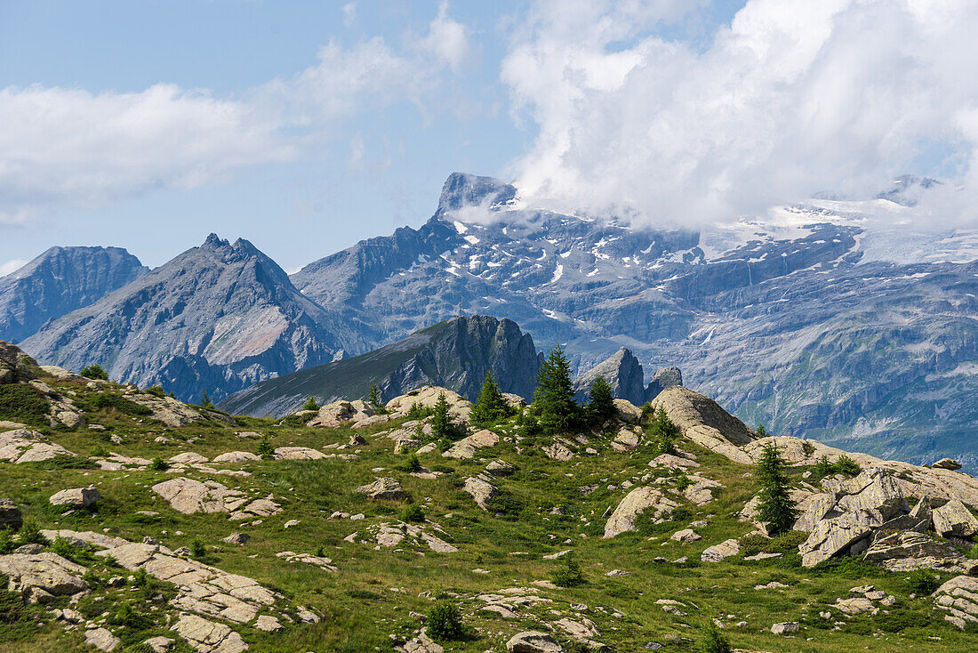 Blick über eine Hochgebirgswiese mit hoch aufragenden Gipfeln der Schweizer Alpen am Horizont im Simplongebiet, Schweiz, Europa