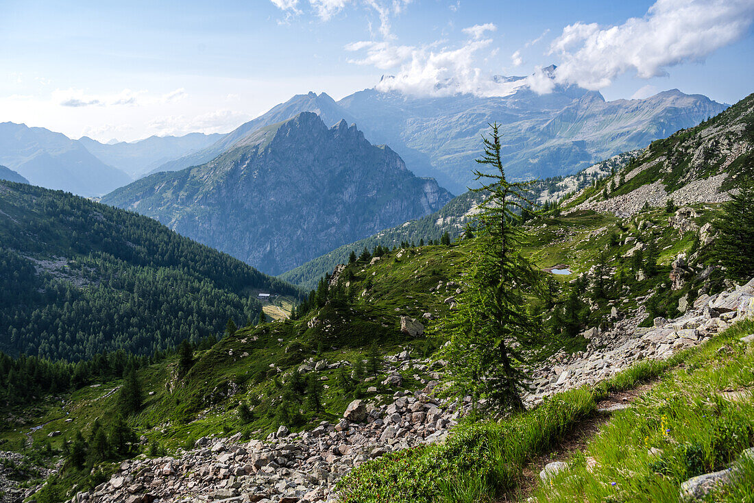 Beautiful alpine panorama in summer in the Alps, Italian Alps, Italy, Europe