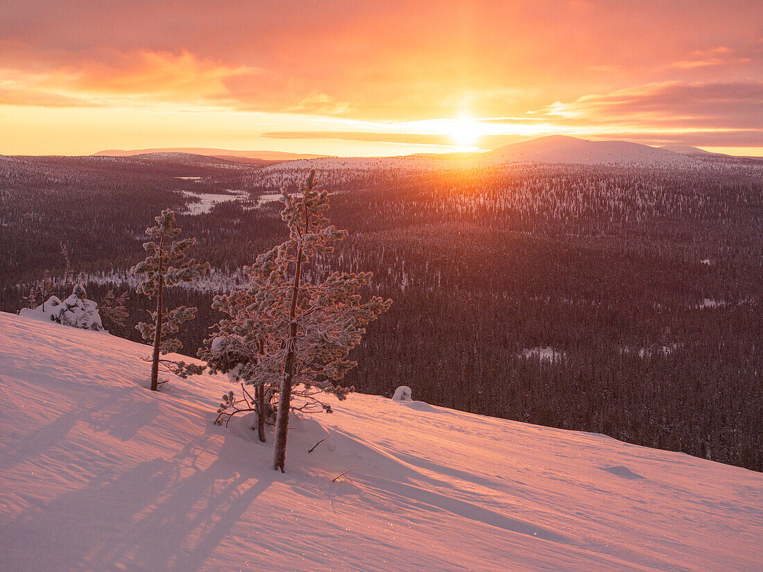 An amazing winter sunrise in Pallastunturi National Park shot by drone, Pallastunturi, Finland, Europe