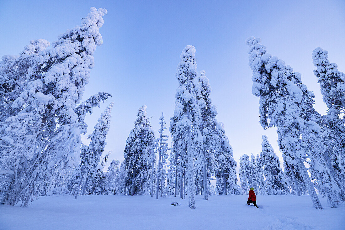 A girl admires the beauty of the snowy woods during a cold winter day, Rovaniemi, Finland, Europe