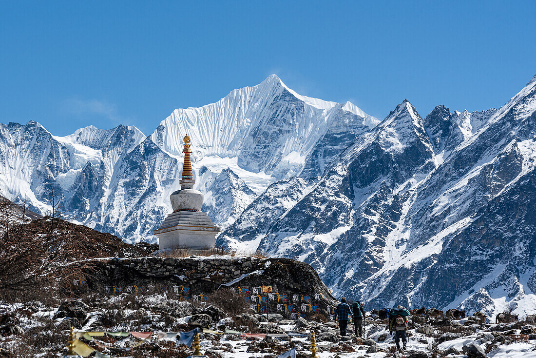 Goldene Erleuchtungs-Stupa vor dem verschneiten Gipfel Gangchempo im Lang Tang Valley Trek, Nepal, Himalaya, Asien