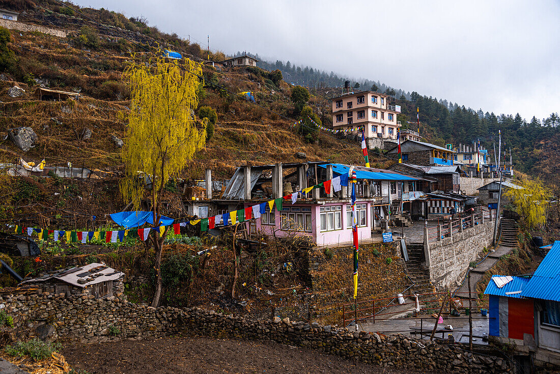 Sherpagaon colourful guesthouses and agricultural terraces on the Langtang Valley Trek, Himalayas, Nepal, Asia