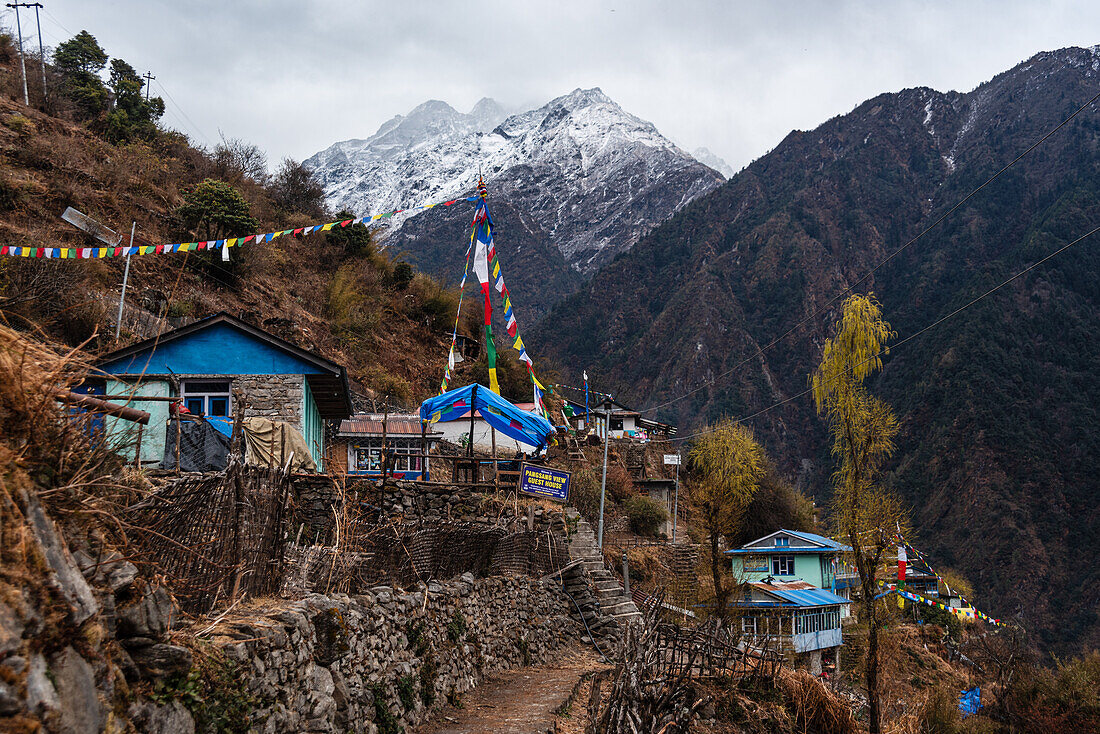 Sherpagaon, bunte Gästehäuser und landwirtschaftliche Terrassen auf dem Langtang Valley Trek, Himalaya, Nepal, Asien