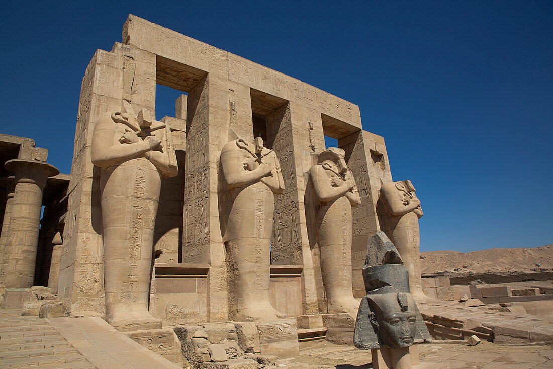 Granitkopf von Ramses II. vor den Osiris-Statuen, Ramesseum, Gedächtnistempel des Pharao Ramses II., 13. Jahrhundert v. Chr., Antikes Theben, UNESCO-Welterbe, Luxor, Ägypten, Nordafrika, Afrika