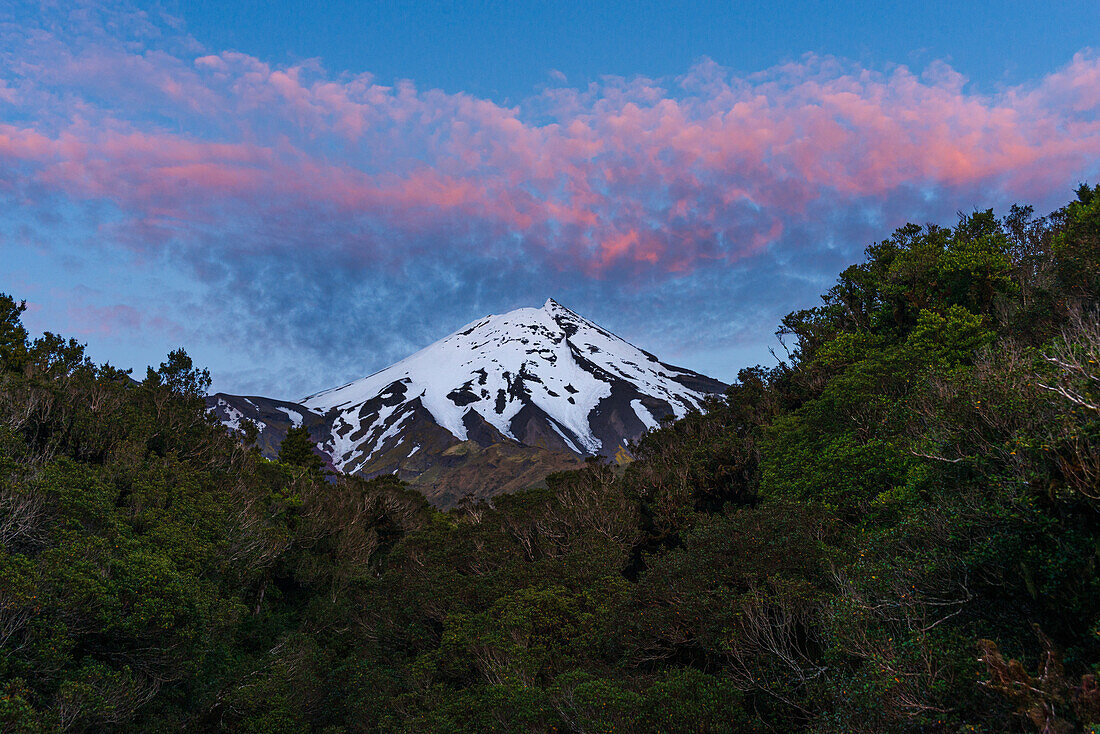 Purple sunset above the snowy summit of Mount Taranaki, North Island, New Zealand, Pacific