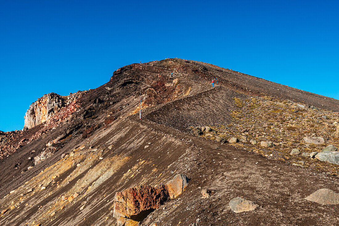 Blick entlang des Hanges und Wanderweges hinauf zum Red Crater Volcano, am Tongariro Alpine Crossing, Tongariro National Park, UNESCO Weltnaturerbe, Nordinsel, Neuseeland, Pazifik