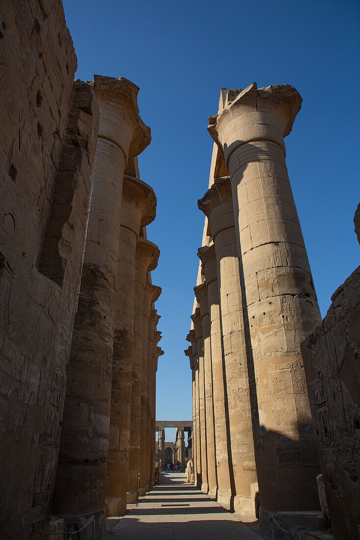 Kolonnade von Amenhotep III, Luxor-Tempel, UNESCO-Welterbe, Luxor, Ägypten, Nordafrika, Afrika