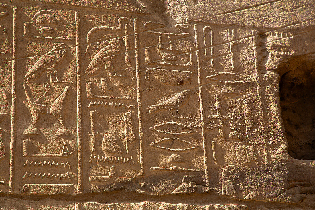 Bas Relief, Luxor Temple, UNESCO World Heritage Site, Luxor, Egypt, North Africa, Africa