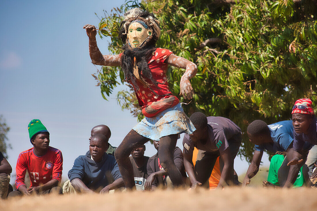 Masked dancer, The Kulamba Traditional Ceremony of the Chewa people from Zambia, Mozambique and Malawi, held annually on the last Saturday in August to pay homage to their Chief Kalonga Gaia Uni, held near Katete, Eastern Province, Zambia, Africa