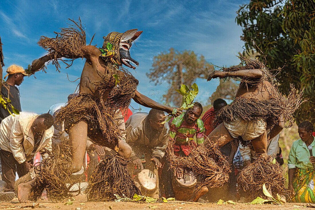 Masked dancers, The Kulamba Traditional Ceremony of the Chewa people from Zambia, Mozambique and Malawi, held annually on the last Saturday in August to pay homage to their Chief Kalonga Gaia Uni, held near Katete, Eastern Province, Zambia, Africa