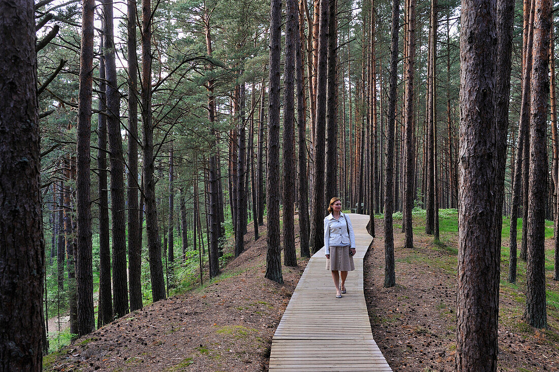 Wanderweg durch den Küstenkiefernwald im Ragakapa-Naturreservat, Lielupe-Gebiet, Jurmala, Golf von Riga, Lettland, Baltikum, Europa