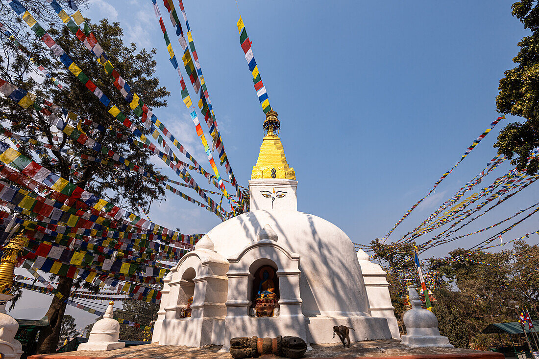 Kleiner weißer Stupa mit goldener Spitze und Gesicht unter einem Wald von bunten Gebetsfahnen, Kathmandu, Nepal, Asien