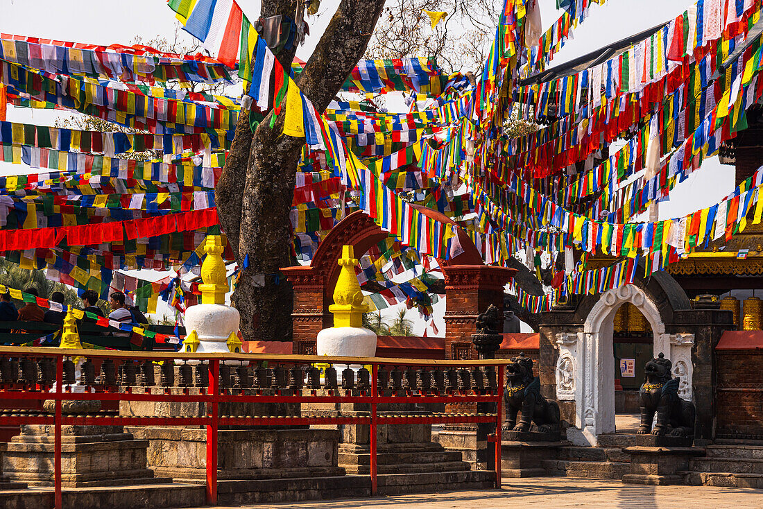 Buddhist Tibetan prayer flags at Maha Manjushree Temple in Kathmandu, Nepal, Asia