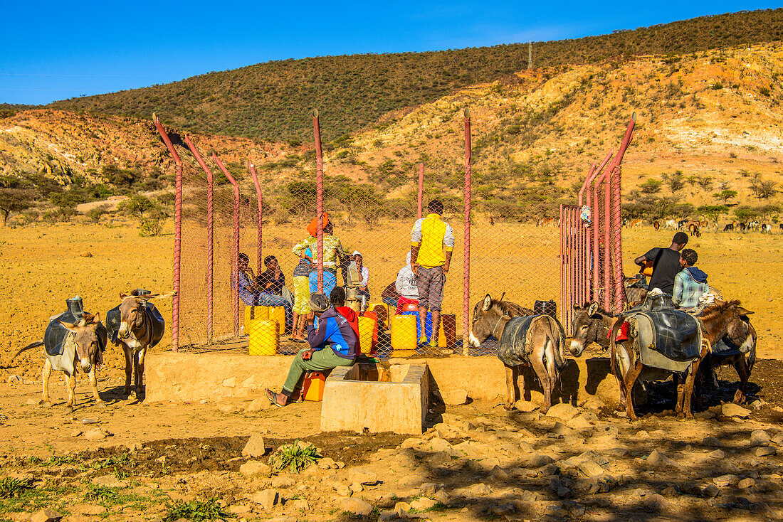 Locals pumping water at a waterhole with donkeys along the road from Asmara to Qohaito, Eritrea, Africa