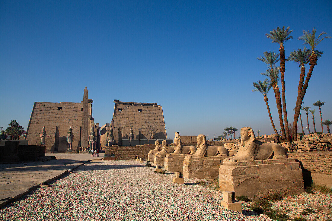 Allee der Sphinxen, Erster Pylon von Ramses II., Luxor-Tempel, UNESCO-Welterbestätte, Luxor, Ägypten, Nordafrika, Afrika