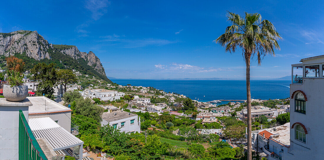 View of Marina Grande from Capri Town, Isle of Capri, Bay of Naples, Campania, Italy, Mediterranean, Europe