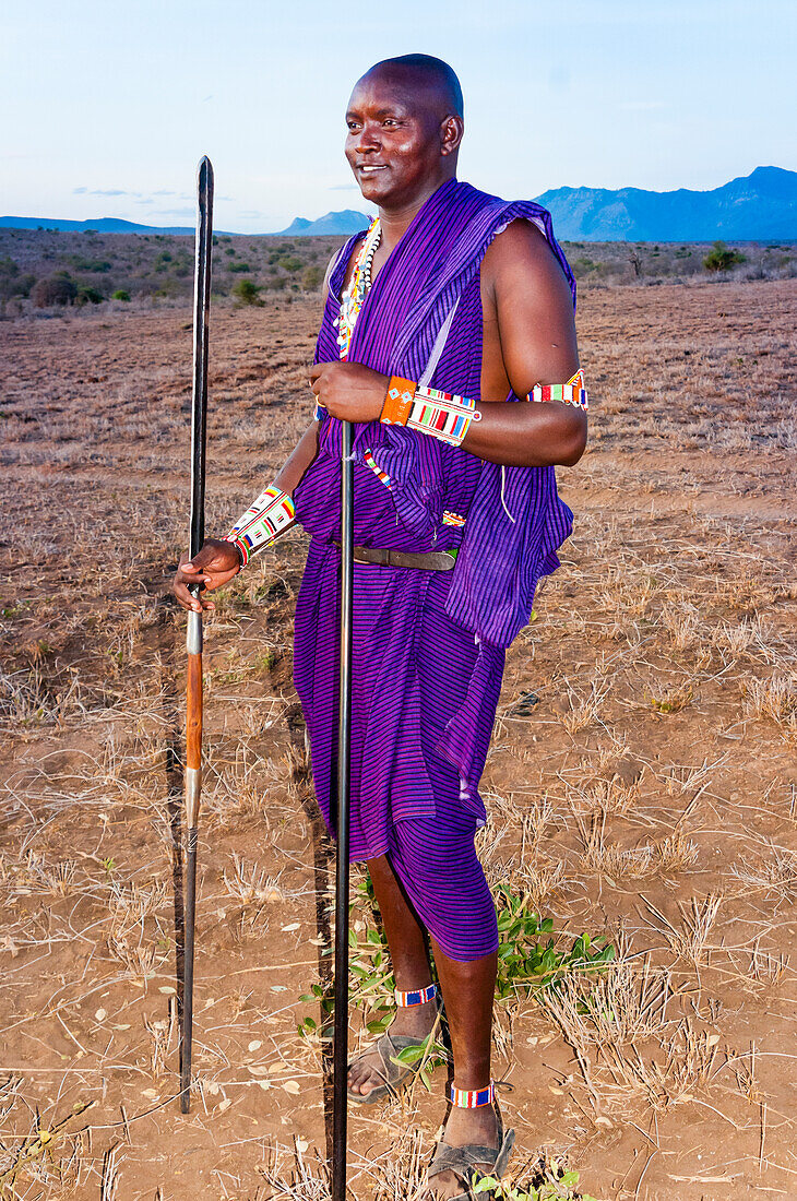 Maasai with spear and rungu in the bush, Mwatate, Lualenyi ranch, Kenya, East Africa, Africa