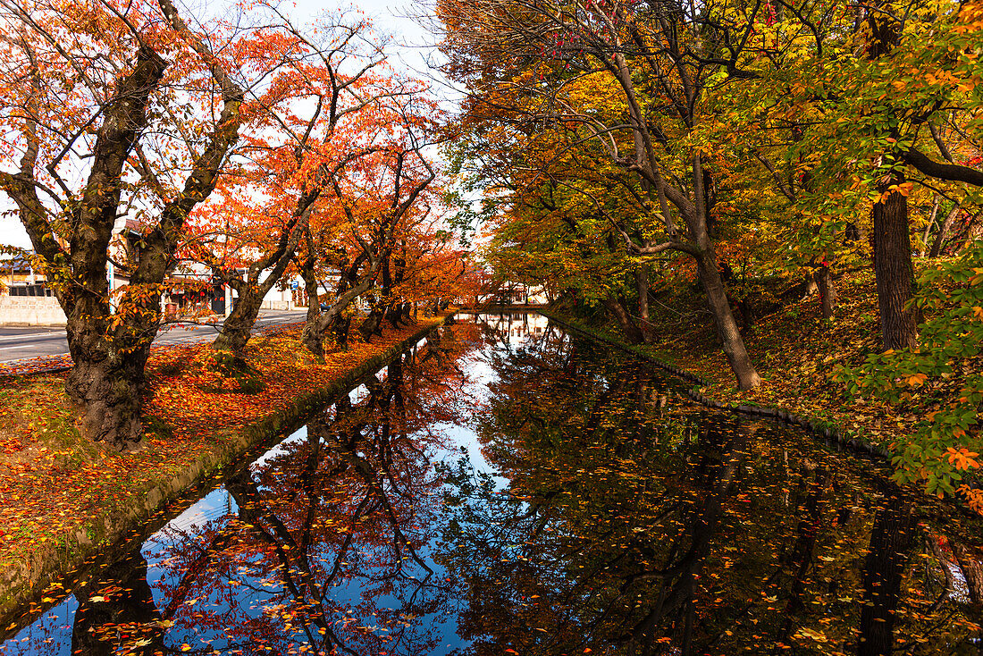 Buntes Herbstlaub und Blätter im Stadtgraben von Hirosaki, Honshu, Japan, Asien