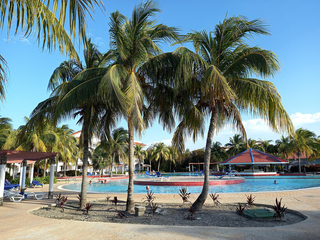 Tourists in swimming pool and palm trees, Cayo Santa Maria, Cuba, West Indies, Caribbean, Central America