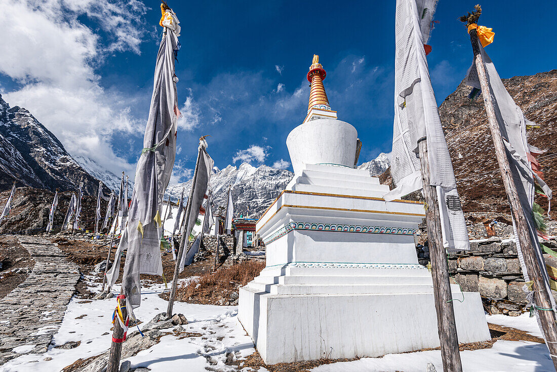 Stupa mit buddhistischen Gebetsfahnen vor einem schneebedeckten Berg, Langtang Valley Trek, Himalaya, Nepal, Asien