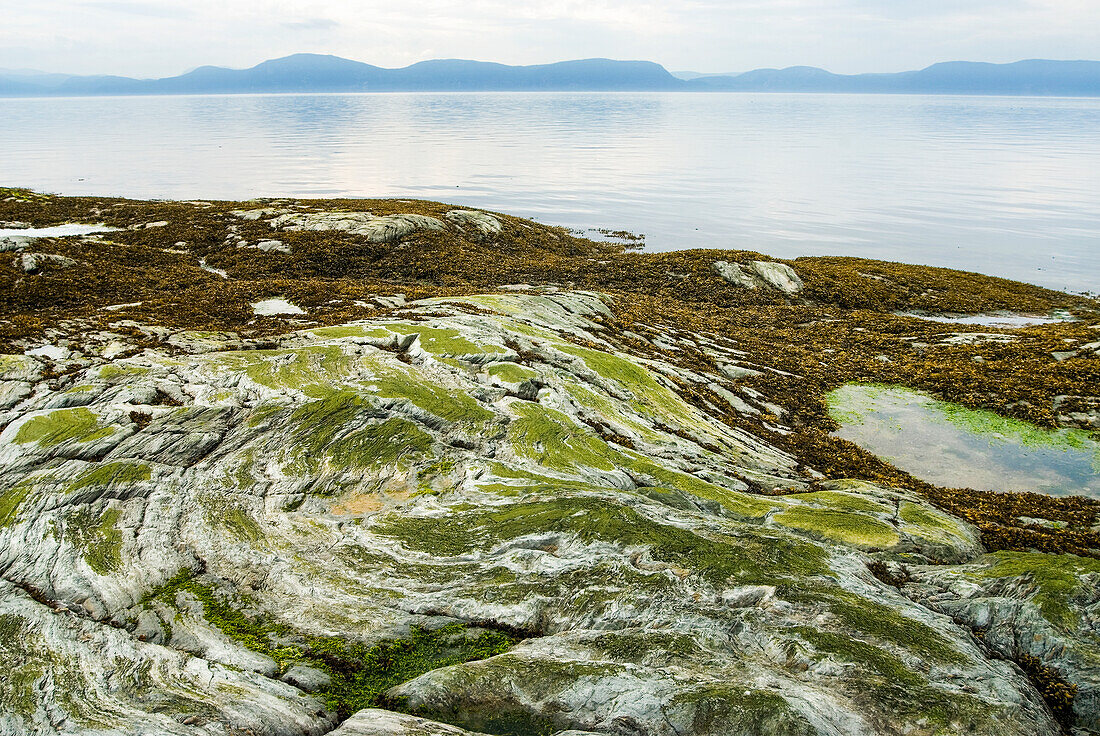 Saint-Lawrence River bank, Ile aux Lievres, Saint-Laurent river, Quebec province, Canada, North America