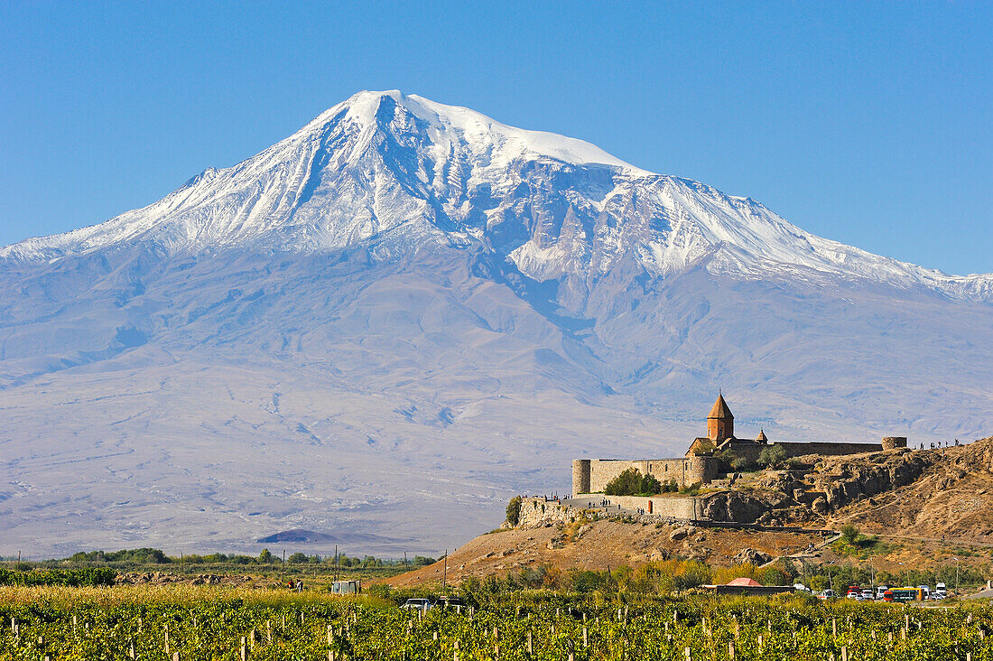 Weinberge vor dem Khor-Virap-Kloster, Ararat-Ebene, Berg Ararat im Hintergrund, Artaschat, Armenien, Eurasien