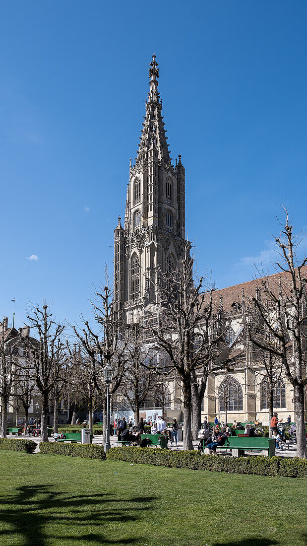 Blick auf das Berner Münster, ein reformiertes Schweizer Münster, erbaut im gotischen Stil, die höchste Kathedrale der Schweiz, Altstadt, UNESCO-Weltkulturerbe, Bern, Schweiz, Europa