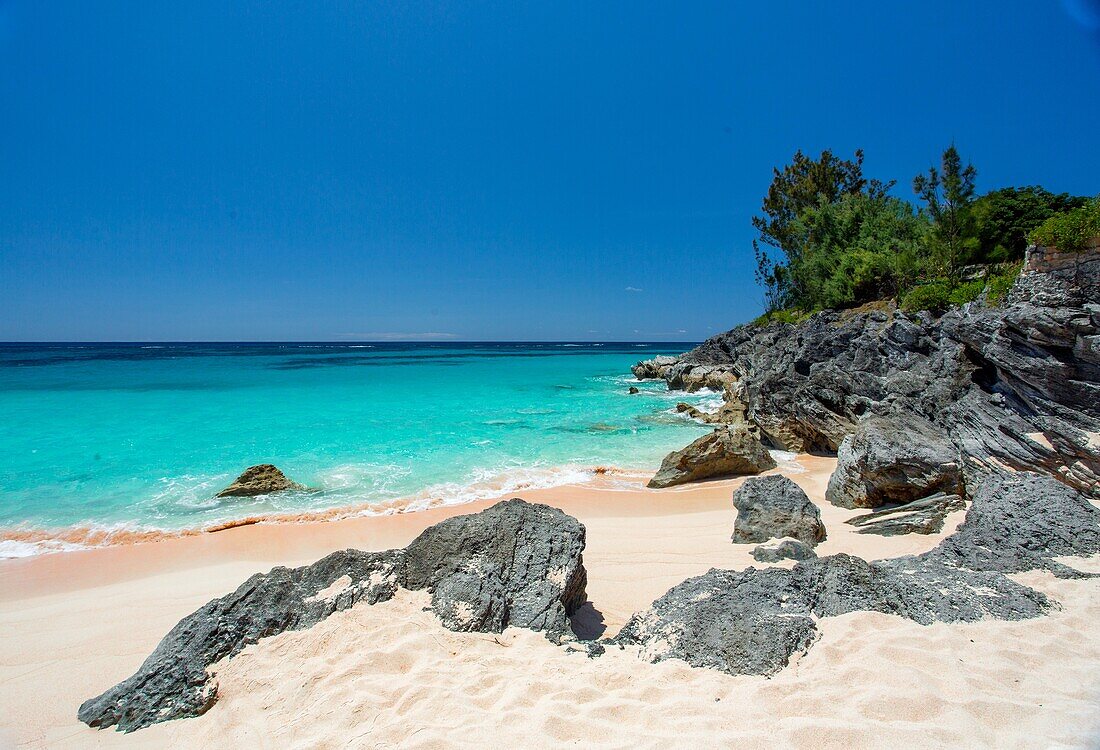 Pink Beach, South Shore, Smiths Parish, Bermuda, Atlantic, North America