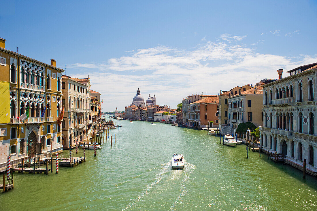 Blick auf den Canal Grande von der Ponte de l'Accademia mit Blick auf die Basilica de Santa Maria della Salute und die Lagune, Venedig, UNESCO-Weltkulturerbe, Venetien, Italien, Europa