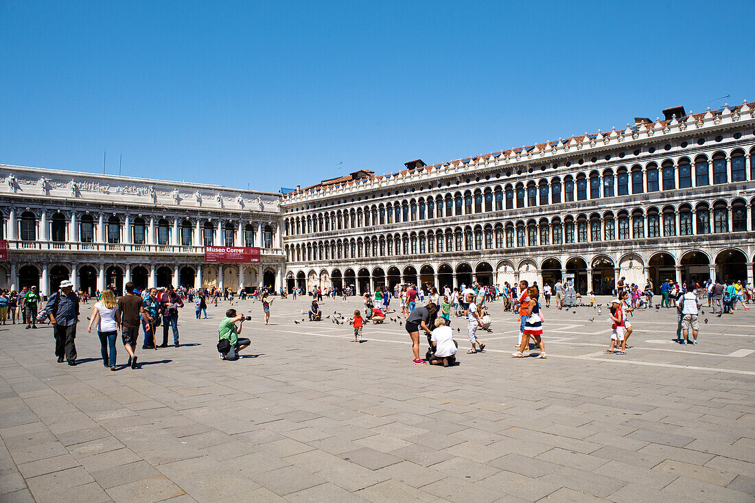 Blick auf die Piazza de San Marco (Markusplatz), mit Blick auf die Basilika San Marco (Markusdom), mit der Procuratorie Vecchie auf der rechten Seite und dem Correr Museum auf der linken Seite, Venedig, UNESCO-Weltkulturerbe, Venetien, Italien, Europa