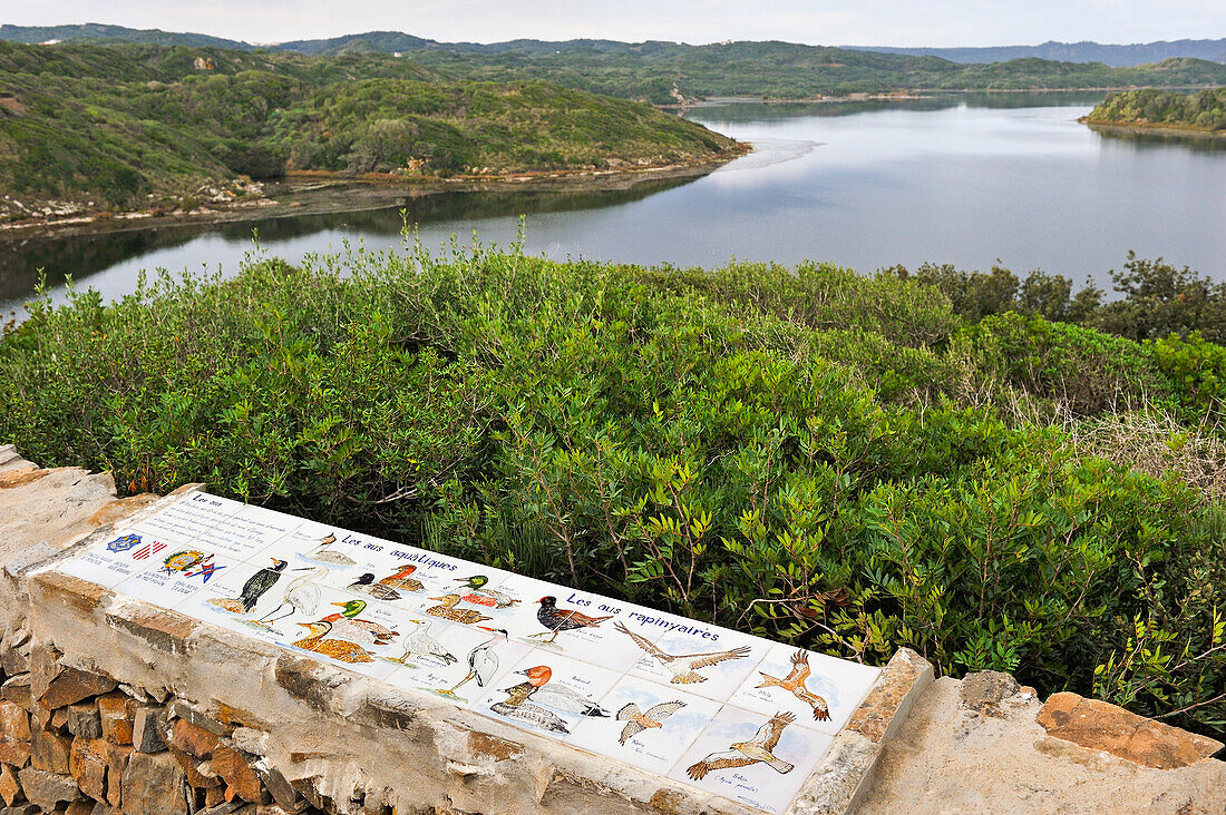 Informationstafel über Vögel in der Lagune des Naturparks s'Albufera des Grau, Menorca, Balearen, Spanien, Mittelmeer, Europa