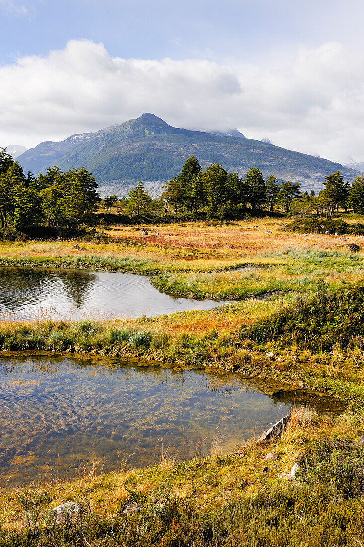 Ainsworth Bay, Alberto de Agostini National Park, Tierra del Fuego, Patagonia, Chile, South America